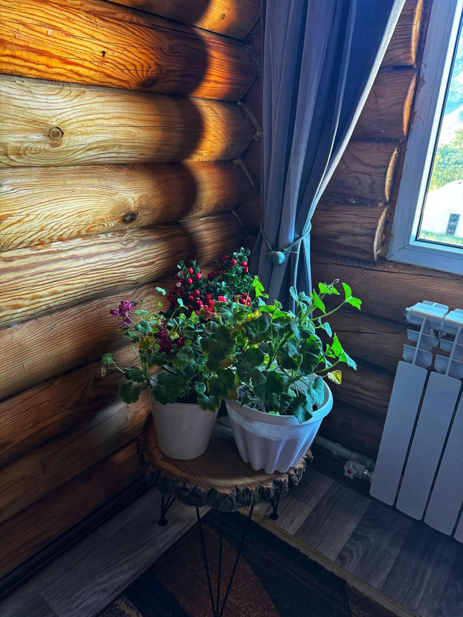 Kolsay Kazakh Village Saty Exterior photo